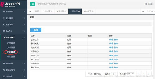 建站神器 cms網(wǎng)站插件 jeecg p3 biz cms 發(fā)布